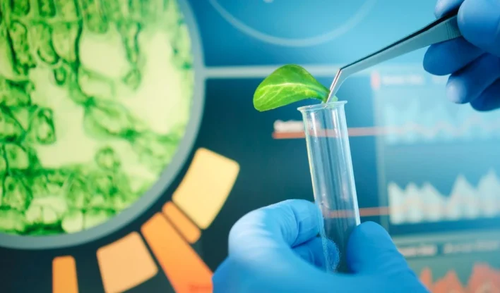 Biotecnologia Brasileira Inovadora Atrai Investidores Globais com Solução Sustentável 2 news 11728 1782571801